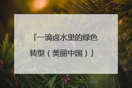 一滴卤水里的绿色转型（美丽中国）