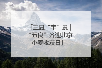 三夏“丰”景｜“五良”齐迎北京小麦收获日