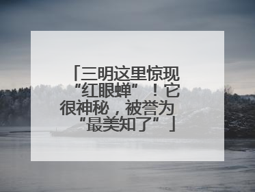 三明这里惊现“红眼蝉”！它很神秘，被誉为“最美知了”