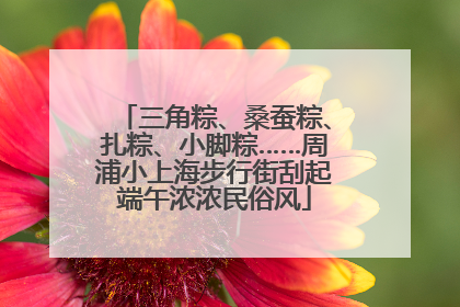 三角粽、桑蚕粽、扎粽、小脚粽……周浦小上海步行街刮起端午浓浓民俗风