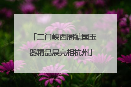 三门峡西周虢国玉器精品展亮相杭州