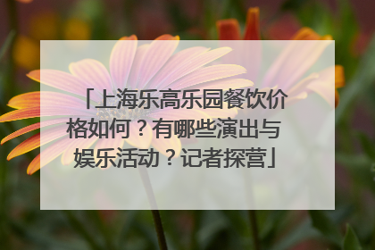 上海乐高乐园餐饮价格如何？有哪些演出与娱乐活动？记者探营