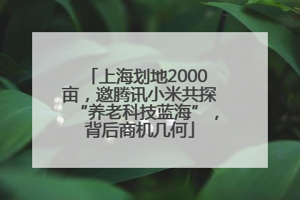 上海划地2000亩，邀腾讯小米共探“养老科技蓝海”，背后商机几何