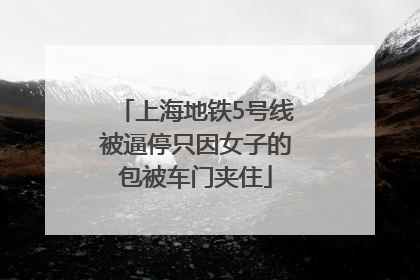 上海地铁5号线被逼停只因女子的包被车门夹住