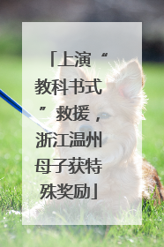 上演“教科书式”救援，浙江温州母子获特殊奖励