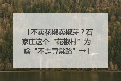 不卖花椒卖椒芽？石家庄这个“花椒村”为啥“不走寻常路”→