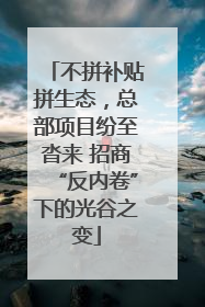 不拼补贴拼生态，总部项目纷至沓来 招商“反内卷”下的光谷之变