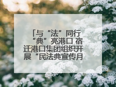 与“法”同行 “典”亮港口 宿迁港口集团组织开展“民法典宣传月”系列活动