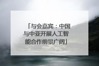 与会嘉宾：中国与中亚开展人工智能合作前景广阔