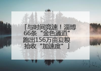 与时间竞速！淄博66条“金色通道”跑出156万亩夏粮抢收“加速度”