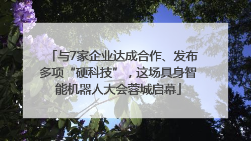 与7家企业达成合作、发布多项“硬科技”，这场具身智能机器人大会蓉城启幕