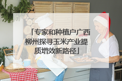 专家和种植户广西柳州探寻玉米产业提质增效新路径
