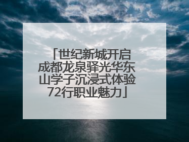 世纪新城开启 成都龙泉驿光华东山学子沉浸式体验72行职业魅力