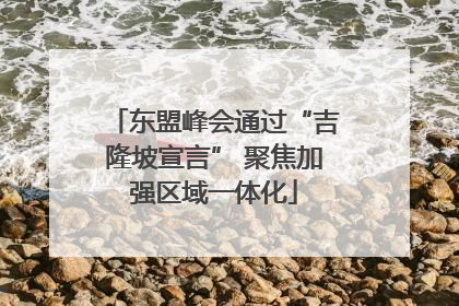 东盟峰会通过“吉隆坡宣言” 聚焦加强区域一体化