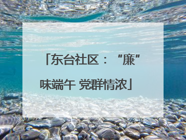 东台社区：“廉”味端午 党群情浓