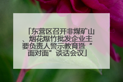 东营区召开非煤矿山、烟花爆竹批发企业主要负责人警示教育暨“面对面”谈话会议