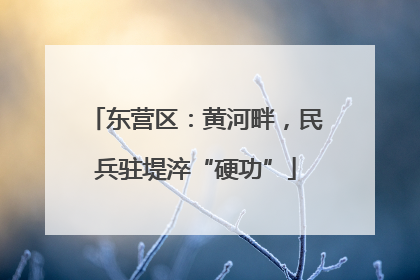 东营区：黄河畔，民兵驻堤淬“硬功”