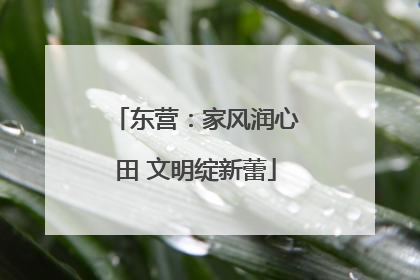 东营：家风润心田 文明绽新蕾