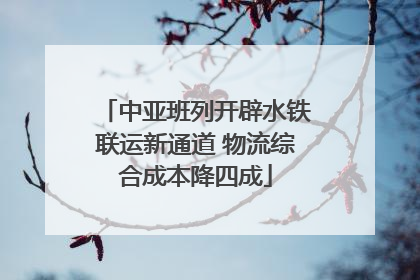 中亚班列开辟水铁联运新通道 物流综合成本降四成