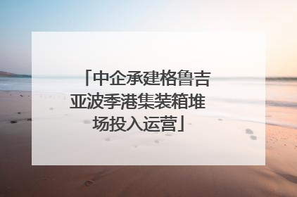 中企承建格鲁吉亚波季港集装箱堆场投入运营