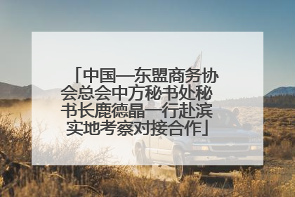 中国—东盟商务协会总会中方秘书处秘书长鹿德晶一行赴滨实地考察对接合作