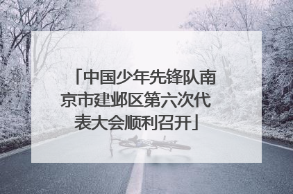 中国少年先锋队南京市建邺区第六次代表大会顺利召开