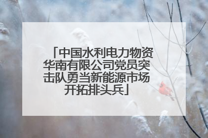 中国水利电力物资华南有限公司党员突击队勇当新能源市场开拓排头兵