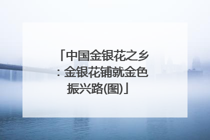 中国金银花之乡：金银花铺就金色振兴路(图)
