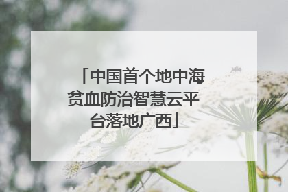 中国首个地中海贫血防治智慧云平台落地广西