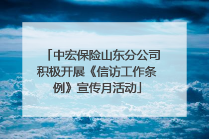 中宏保险山东分公司积极开展《信访工作条例》宣传月活动
