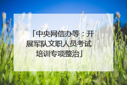 中央网信办等：开展军队文职人员考试培训专项整治