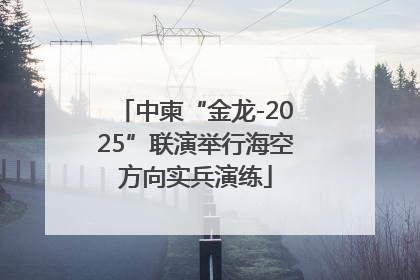 中柬“金龙-2025”联演举行海空方向实兵演练