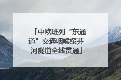 中欧班列“东通道”交通咽喉绥芬河隧道全线贯通