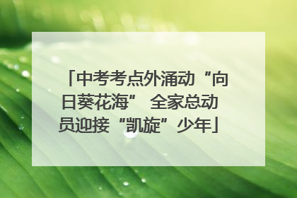 中考考点外涌动“向日葵花海” 全家总动员迎接“凯旋”少年
