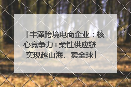 丰泽跨境电商企业：核心竞争力+柔性供应链 实现越山海、卖全球