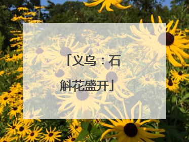 义乌：石斛花盛开