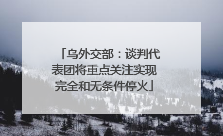 乌外交部：谈判代表团将重点关注实现完全和无条件停火
