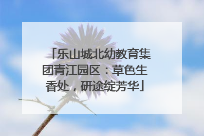 乐山城北幼教育集团青江园区：草色生香处，研途绽芳华
