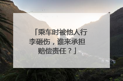 乘车时被他人行李砸伤，谁来承担赔偿责任？