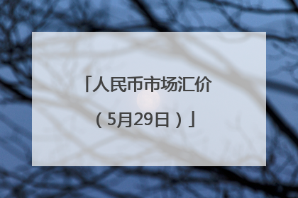 人民币市场汇价（5月29日）