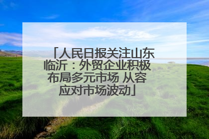人民日报关注山东临沂：外贸企业积极布局多元市场 从容应对市场波动