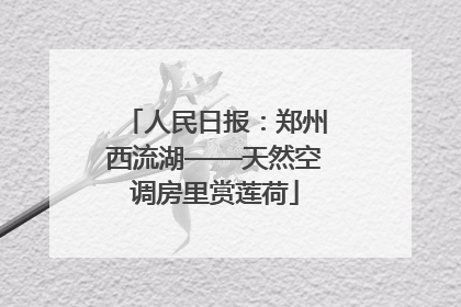人民日报：郑州西流湖——天然空调房里赏莲荷
