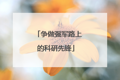 争做强军路上的科研先锋