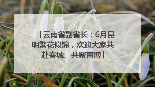 云南省副省长：6月昆明繁花似锦，欢迎大家共赴春城、共聚南博