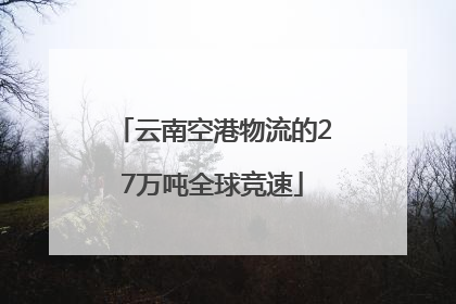 云南空港物流的27万吨全球竞速