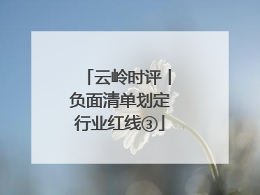 云岭时评丨负面清单划定行业红线③