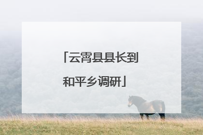 云霄县县长到和平乡调研