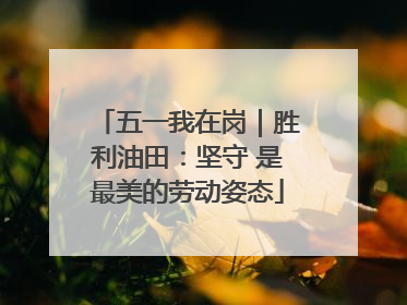 五一我在岗｜胜利油田：坚守 是最美的劳动姿态