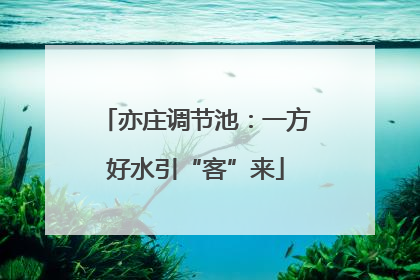 亦庄调节池：一方好水引“客”来