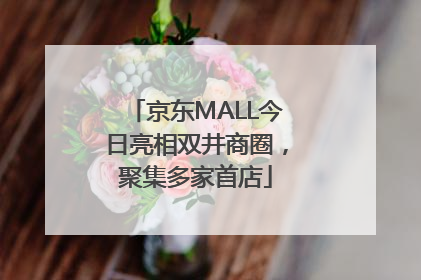 京东MALL今日亮相双井商圈，聚集多家首店